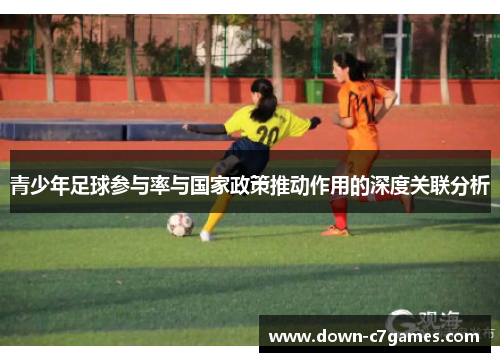 青少年足球参与率与国家政策推动作用的深度关联分析