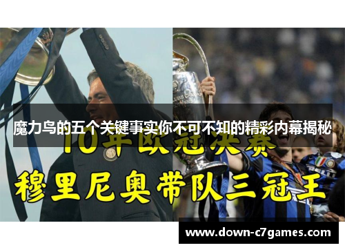 魔力鸟的五个关键事实你不可不知的精彩内幕揭秘