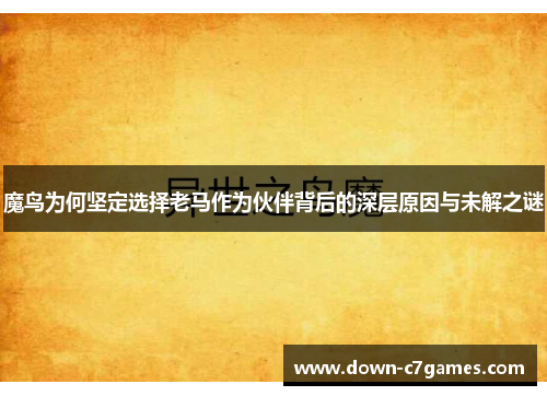 魔鸟为何坚定选择老马作为伙伴背后的深层原因与未解之谜